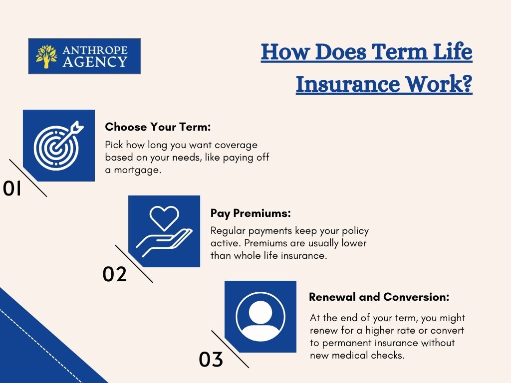 How Does Term Life Insurance Work